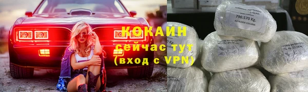 дурь Богданович